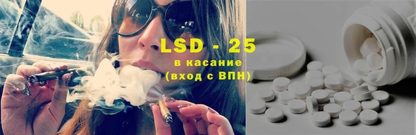 гашик Липки