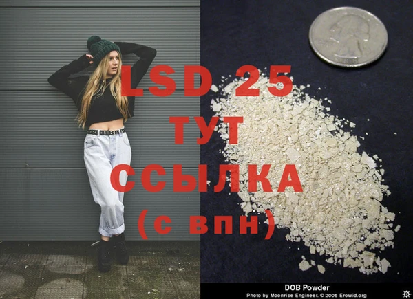 гашик Липки