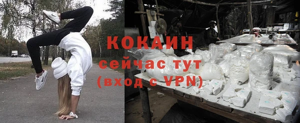 гашик Липки
