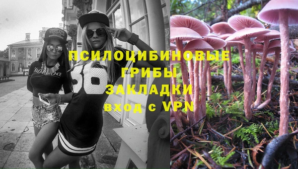 мдпв Лиски
