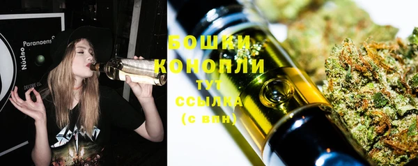 гашик Липки