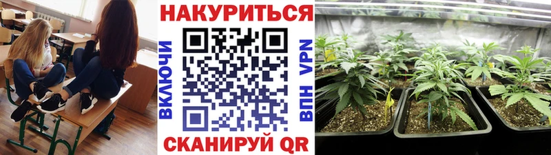 МАРИХУАНА OG Kush  Купить закладки  Дедовск 